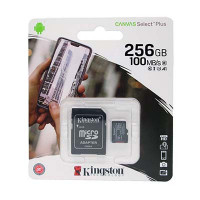 Micro-SD-Karte SDCS2/256GB