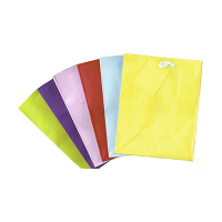 Geschenktasche Motiv Trendfarben 18 x 23 cm