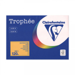 Kopierpapier Trophée 250 Blatt goldgelb
